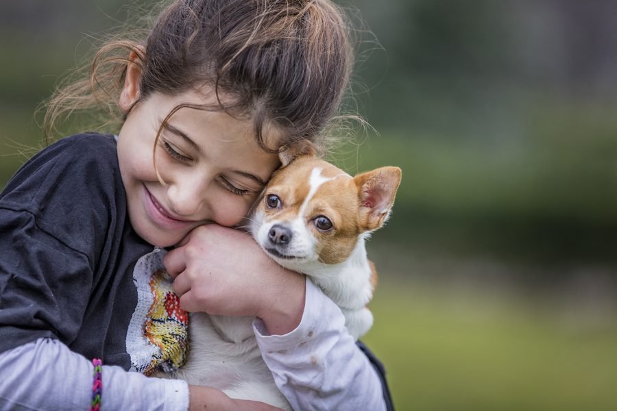 D A Mundial Del Perro Cu Ndo Debo Ba Ar Y Desparasitar A Mi Mascota