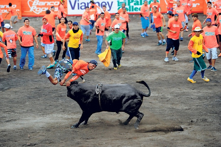Regreso de corridas de Toros a La Tica generó inversión publicitaria superior a los ₵650millones 