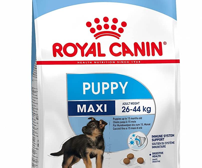 Royal Canin fortalece su distribución en Costa Rica, con nutrición específica para perros y gatos