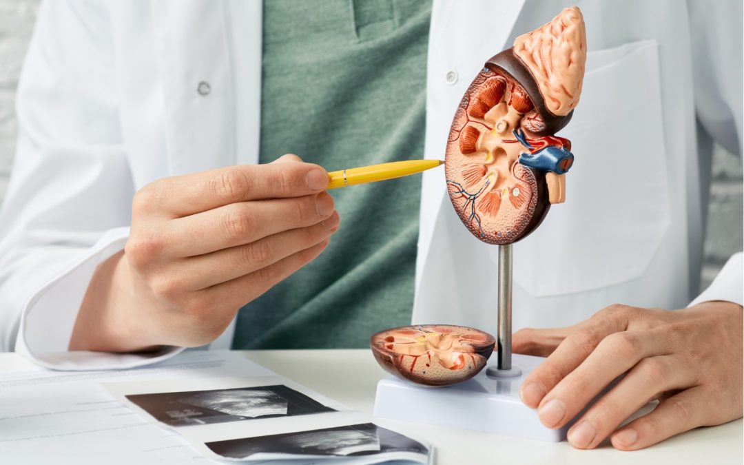 La detección temprana del cáncer renal: un paso importante en la lucha contra la enfermedad