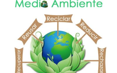 Fortalecer la cultura del reciclaje es un factor fundamental para la preservación del planeta
