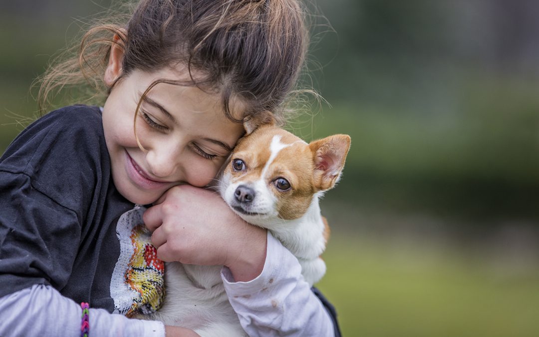 Conoce algunas enfermedades que los animales pueden transmitir a los humanos y la forma de prevenirlas