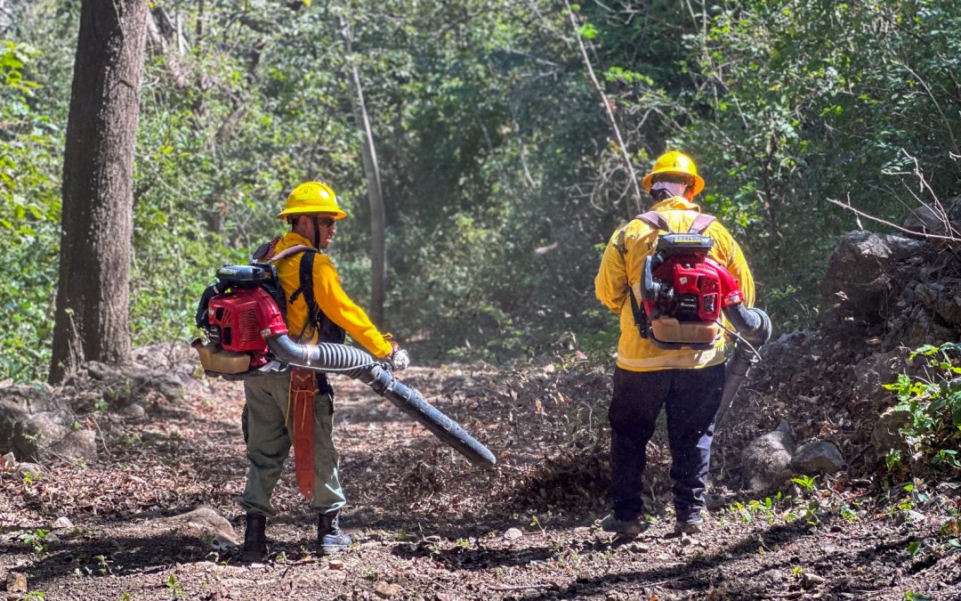 Crean perímetro de protección contra incendios forestales en Parque Nacional Barra Honda
