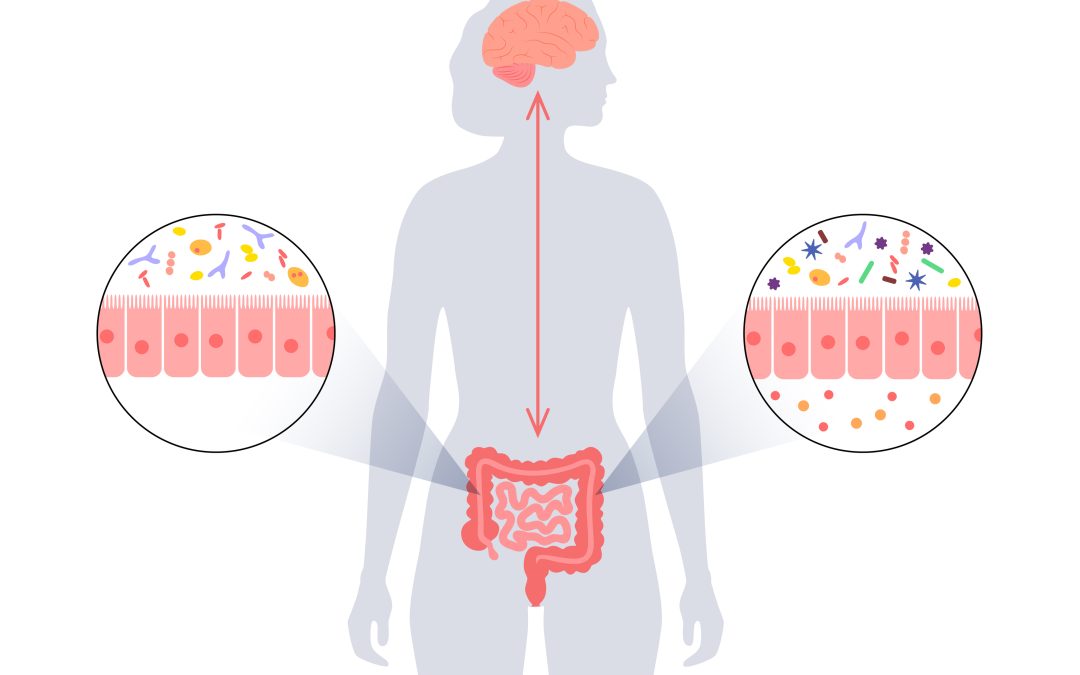 Avance confirma que existe una comunicación bidireccional entre el cerebro y el intestino, con la microbiota como un mediador clave para el bienestar integral