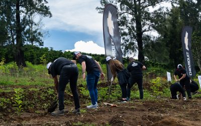 Chevrolet siembra 75 árboles nativos en Birrí de Santa Bárbara de Heredia para contribuir a la lucha contra el cambio climático