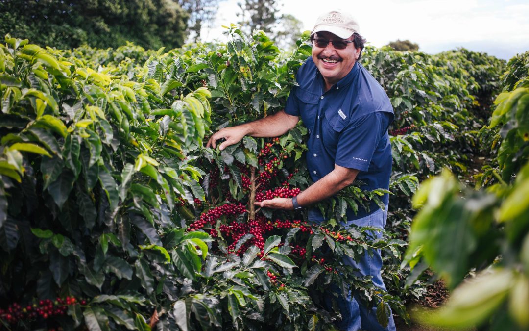 Starbucks invierte en dos nuevas fincas de innovación cafetalera en Costa Rica y Guatemala