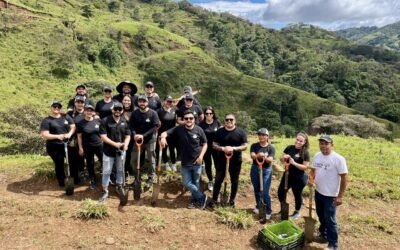 Chevrolet planta 100 árboles nativos en Puriscal para crear un  futuro más verde