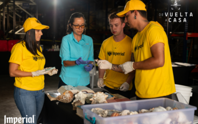 FIFCO y su marca Imperial presentan el documental “De Vuelta a Casa”: un llamado a restaurar los ecosistemas marinos de Costa Rica