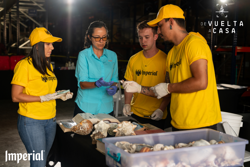 FIFCO y su marca Imperial presentan el documental “De Vuelta a Casa”: un llamado a restaurar los ecosistemas marinos de Costa Rica