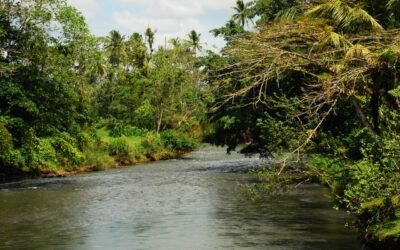 El BID otorga donación por US $200.000 a Costa Rica para atender emergencia generada por fuertes lluvias